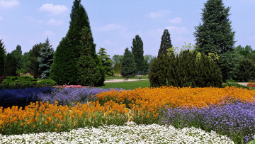 Картинка природа парк клумбы