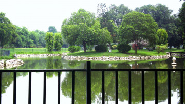 Картинка природа парк водоем