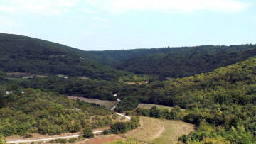 Картинка природа пейзажи поля дорога холмы лес