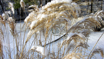 Картинка природа зима снег сугробы