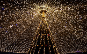 Картинка праздничные Ёлки гирлянды