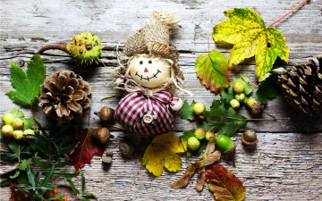 Картинка природа шишки +жёлуди +каштаны композиция