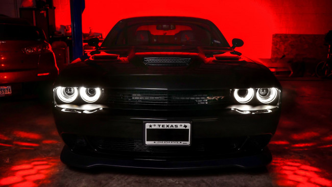 Обои картинки фото автомобили, dodge, srt8, challenger