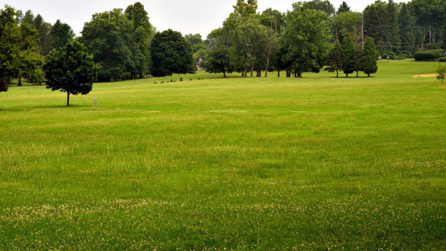 Обои картинки фото природа, луга, трава