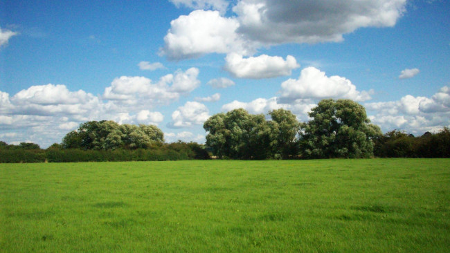 Обои картинки фото природа, луга, трава, лето