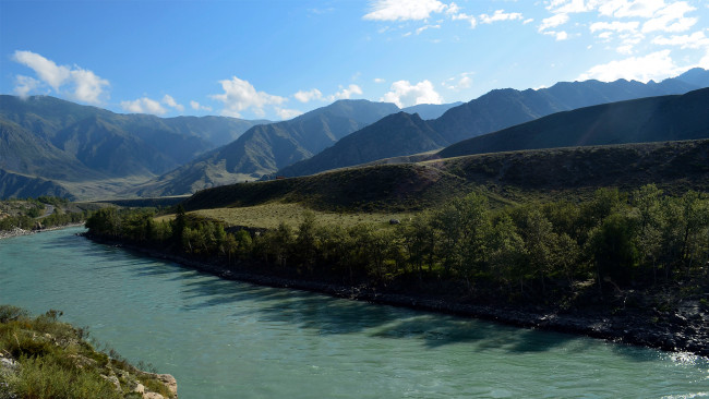 Обои картинки фото природа, реки, озера, лес, река