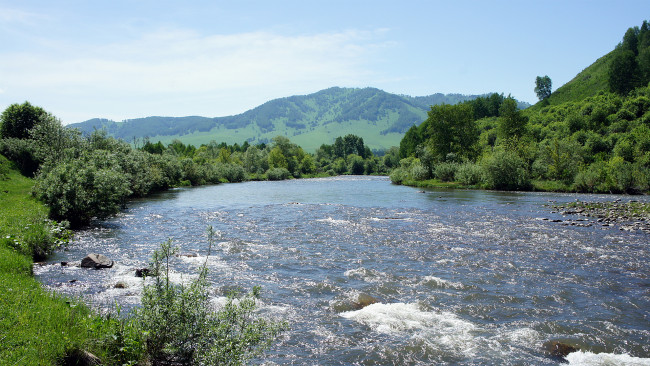 Обои картинки фото природа, реки, озера, лес, река