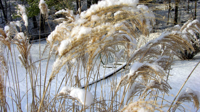 Обои картинки фото природа, зима, снег, сугробы