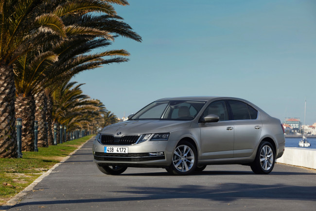 Обои картинки фото автомобили, skoda