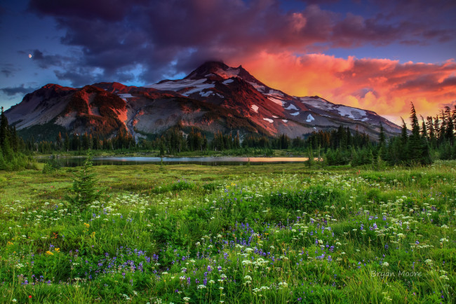 Обои картинки фото природа, пейзажи, гора, луг, трава, цветы, небо