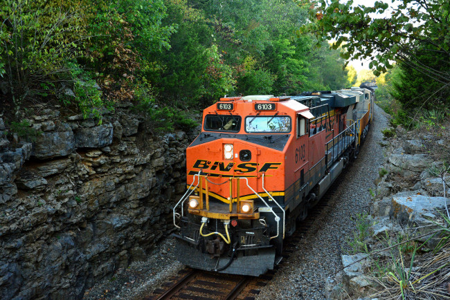 Обои картинки фото техника, поезда, состав, локомотив