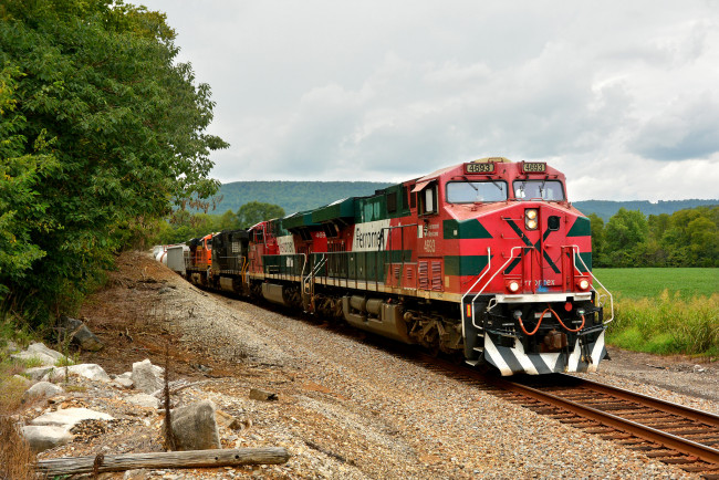 Обои картинки фото техника, поезда, состав, локомотив