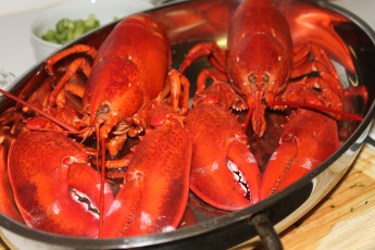 Картинка еда рыба +морепродукты +суши +роллы лобстер