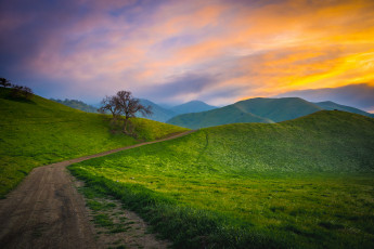 Картинка природа дороги простор