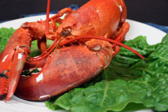 Картинка еда рыба +морепродукты +суши +роллы лобстер