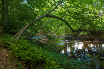 Картинка природа реки озера простор