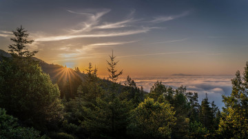 Картинка природа восходы закаты простор