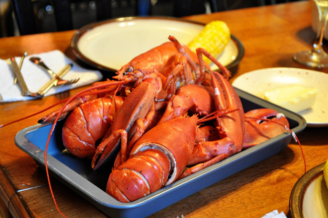 Обои картинки фото еда, рыба,  морепродукты,  суши,  роллы, лобстер