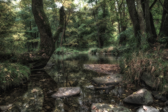 Обои картинки фото природа, реки, озера, простор