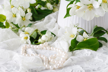 Картинка разное украшения +аксессуары +веера цветы бусы жемчуг