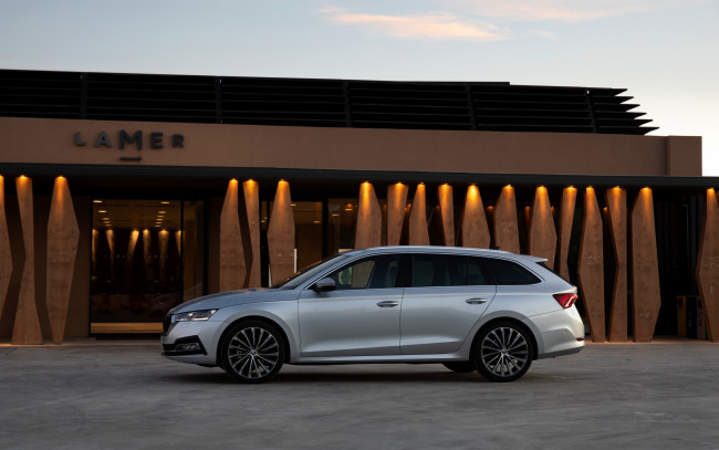 Обои картинки фото 2020 skoda octavia combi, автомобили, skoda, 2020, octavia, combi, вид, сбоку, экстерьер, серебристый, универсал, a8, новая, модель, чешские