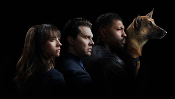 Картинка angie+tribeca кино+фильмы -unknown+ другое angie tribeca rashida+jones ??????? ?????? deon+cole боевик комедия криминал детектив сериал jere burns andree vermeulen