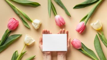 Картинка цветы тюльпаны разноцветные бутоны