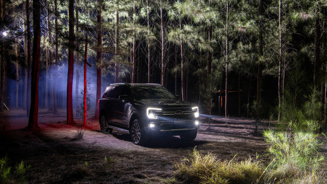 Обои картинки фото ford everest platinum 2022, автомобили, ford, everest, platinum, 2022, внедорожник, джип, форд, лес