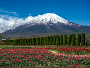 Картинка природа горы пейзаж