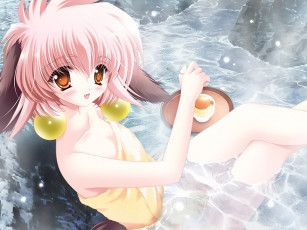 Картинка аниме animals