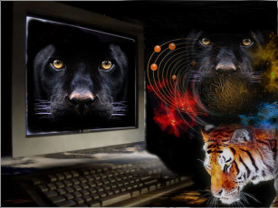 Картинка берегите животных разное