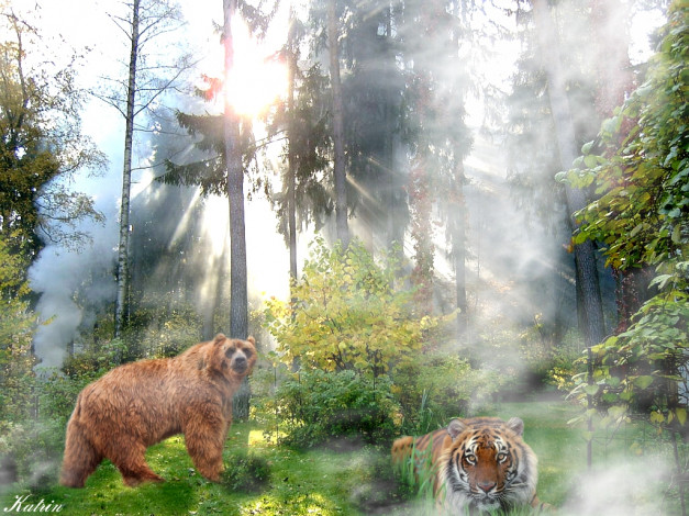 Обои картинки фото мы, друзья, вы, разное