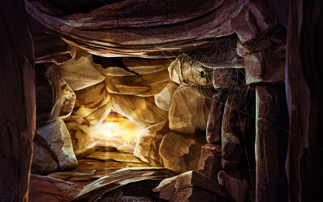 Обои картинки фото рисованные, животные, насекомые