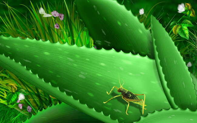 Обои картинки фото рисованные, животные, насекомые