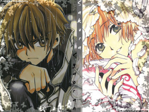 Картинка аниме tsubasa reservoir chronicles