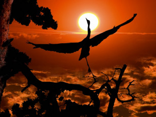 Картинка Чумаход балет животные птицы