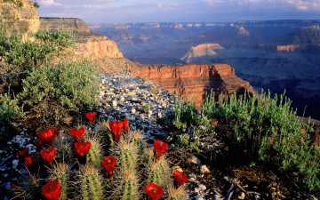 Картинка природа горы