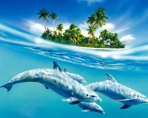 Обои картинки фото рисованные, животные, дельфины