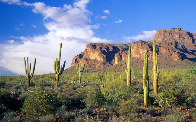 Обои картинки фото природа, горы