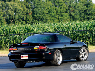 обоя автомобили, camaro