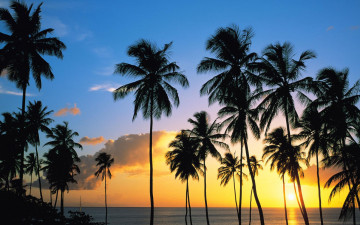 Картинка природа восходы закаты