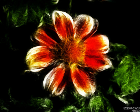 Обои картинки фото рисованные, цветы