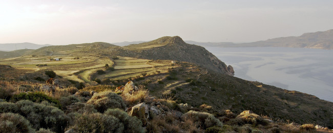 Обои картинки фото природа