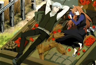 Картинка аниме spice and wolf парень волчица и пряности хоро холо craft lawrence крафт лоурэнс