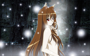 Картинка аниме spice and wolf волчица и пряности хоро холо снег уши