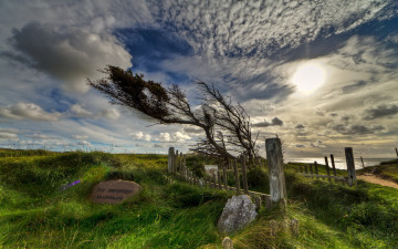 Картинка природа деревья небо дерево памятник
