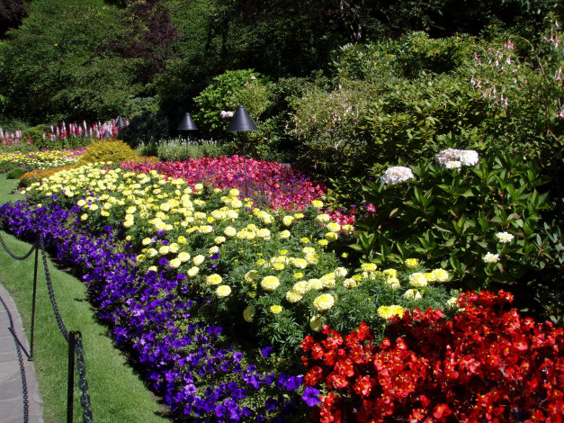 Обои картинки фото цветы, разные, вместе, канада, butchart, victoria