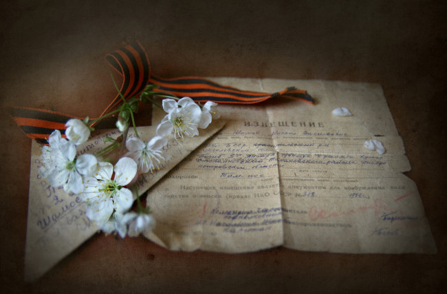 Обои картинки фото lady, viola, Чтобы, помнили, праздничные, день, победы, георгиевская, лента, скорбь, память, извещение, похоронка