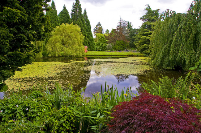 Обои картинки фото природа, парк, vandusen, botanical, vancouver, канада