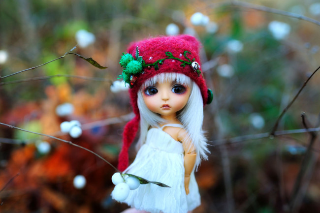 Обои картинки фото разное, игрушки, кукла, шапочка